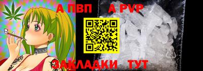 спиды Новодвинск