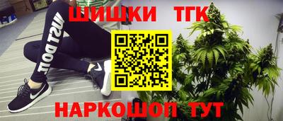 спиды Новодвинск