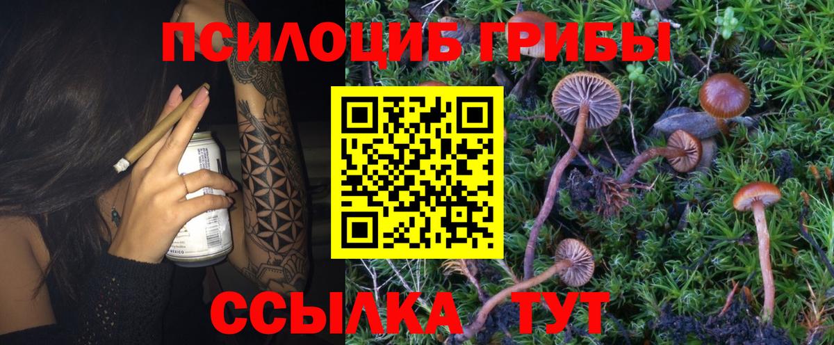 Галлюциногенные грибы Magic Shrooms  Галлюциногенные грибы GOLDEN TEACHER  Вход с VPN  Пушкино 